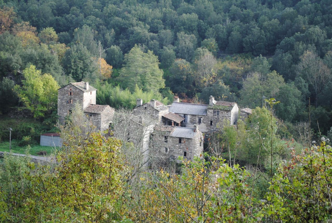 Paysage